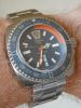 zodiac_vwolf_wrist_oct_6_pic.jpg
