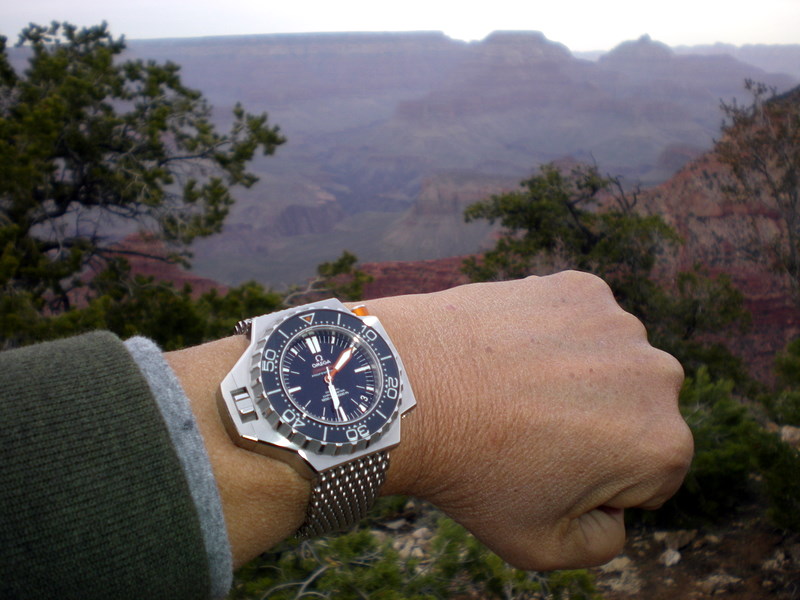 PloProf Review WatchUSeek Watch Forums