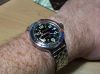 amphibia-01jul08-01.jpg