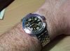 amphibia-01jul08-02.jpg